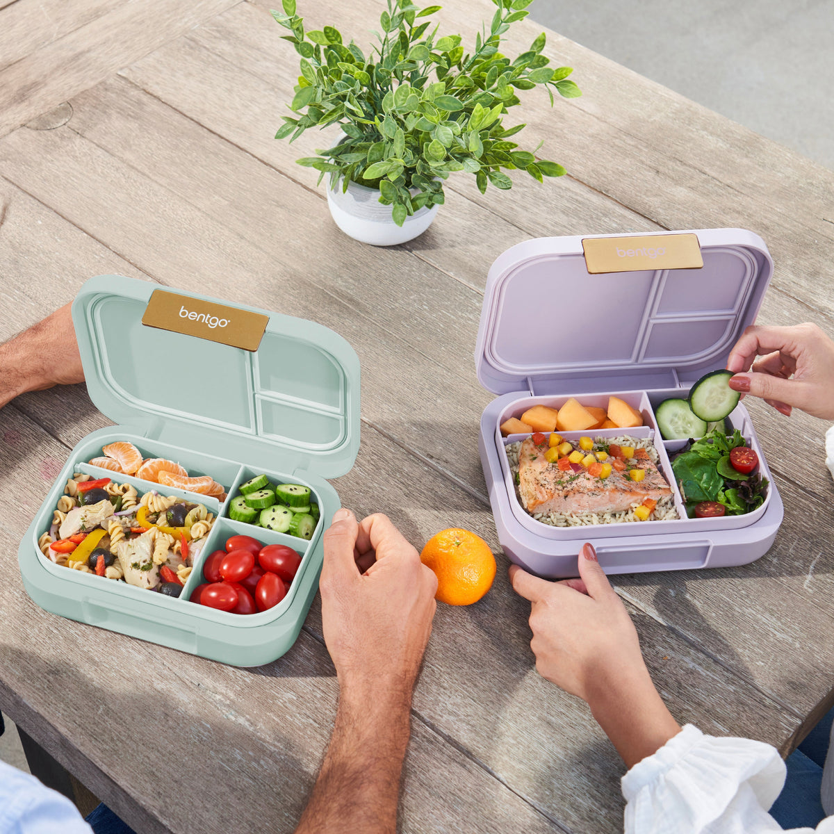 bentgo-modern-lunch-box-2-pack-f8 COSTCOBMCPRODUCTIMAGE_2.jpg